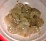 虾仁炒黄瓜做法图解1)