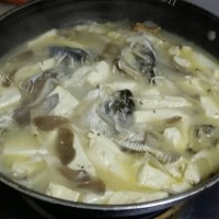 可口的鱼头豆腐汤