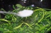 家常菜蒜粒空心菜做法图解4)