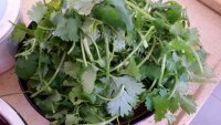 香菜炒牛肉做法图解2)
