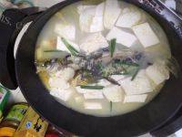 美味的昂刺鱼豆腐汤