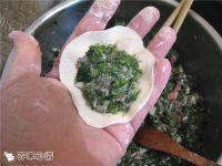 自己做的茴香猪肉饺做法图解12)