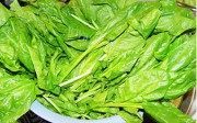 凉拌菠菜做法图解1)