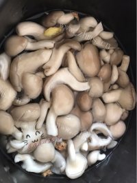 平菇鸡蛋汤做法图解2)