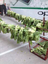 诱人的腌咸菜做法图解1)