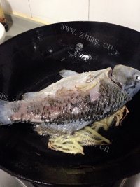 美味的萝卜鲫鱼汤做法图解3)