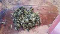 简单的炒酸菜做法图解2)