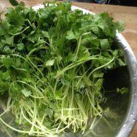 自制芹菜肉水饺做法图解3)