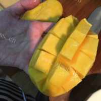 美味的椰汁西米露做法图解4)