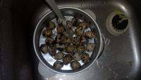 美味的香卤鹌鹑蛋做法图解1)