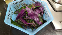 美味的苋菜鸡蛋饼做法图解2)