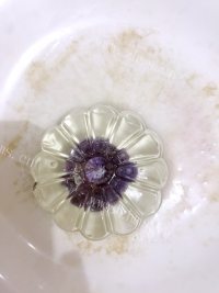 自制水晶月饼