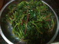 秀色的清炒苋菜