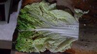 翡翠豆腐卷做法图解2)