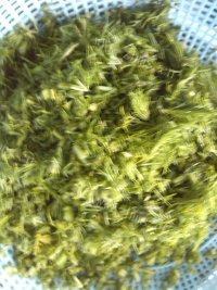 「DIY美食」茴香饺子做法图解4)