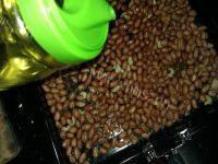 下酒菜烤花生米做法图解6)