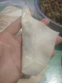 自制芹菜肉馄饨做法图解13)