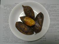 家庭版烤地瓜