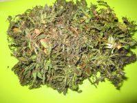 诱人的荠菜青椒煎鸡蛋做法图解1)