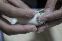 自己做的猪肉韭菜饺子做法图解15)