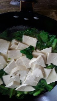 芳香四溢的小白菜炖豆腐做法图解4)