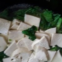 芳香四溢的小白菜炖豆腐的做法图解四
