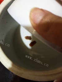 美味的老鸭汤做法图解2)