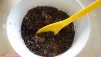 创意芝麻红糖馅玉米馒头做法图解6)