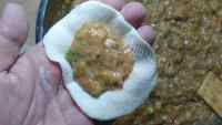 美味的芹菜鲜肉水饺做法图解12)