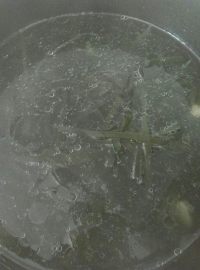 美味的海带排骨汤