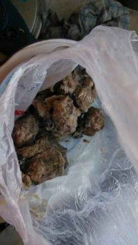 自制排骨焖莲藕做法图解1)