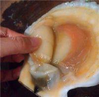 蒜蓉粉丝蒸扇贝做法图解6)