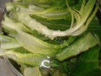 秀色可餐的蒜香油麦菜做法图解2)