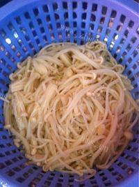家常菜白灼金针菇做法图解3)