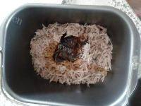 自制肉松做法图解8)