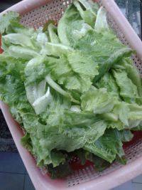 爽脆的清炒生菜做法图解2)