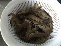 美味的白灼虾做法图解1)