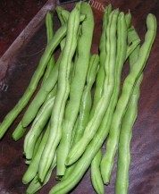 豆角煎蛋做法图解1)