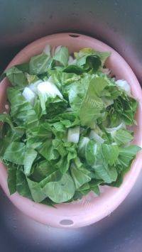 家常菜青菜烧豆腐做法图解1)