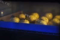自制红豆酥