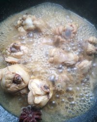 家常的白菜平菇炖鸡块做法图解5)