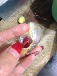 鲜美的清蒸野生大头子梅鱼做法图解1)