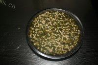 自制自发豆芽做法图解1)