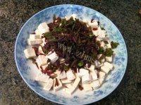 家常菜香椿芽拌豆腐