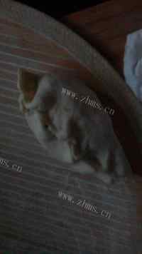 美味的大头菜猪肉包子做法图解6)