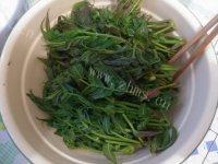 「首发」香椿芽炒鸡蛋做法图解2)