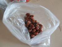 味道不错的凉拌菠菜做法图解6)