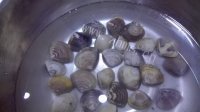 珍馐美味的海鲜百叶包做法图解3)