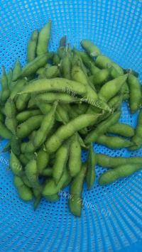 下酒菜辣炒毛豆做法图解1)