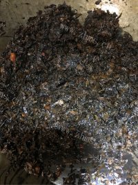 香喷喷的梅菜扣肉做法图解8)